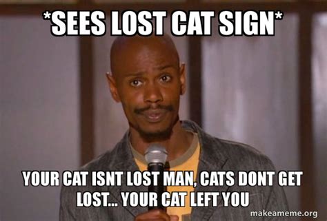 Sees Lost Cat Sign Your Cat Isnt Lost Man Cats Dont Get Lost Your