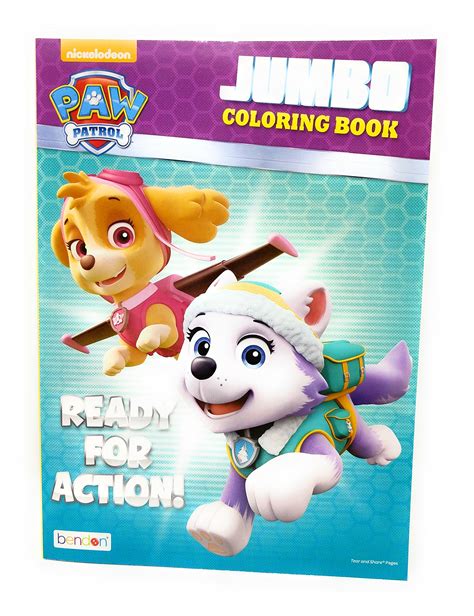 Buy Disney Pixar Paw Patrol Skye And Everest Coloring Book Online At