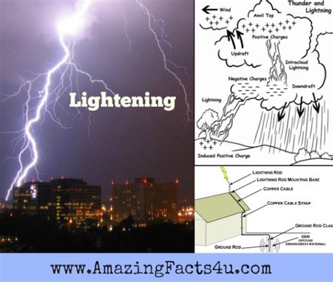 Lightning Amazing Facts 4 U