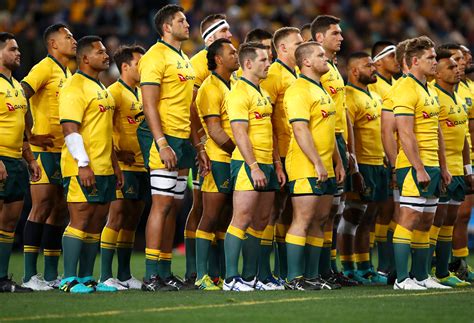 Playing the all blacks is. VOTE: Wallabies DIY player ratings vs All Blacks Bledisloe ...