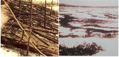 The Tunguska Event The Most Powerful Explosion In Documented History