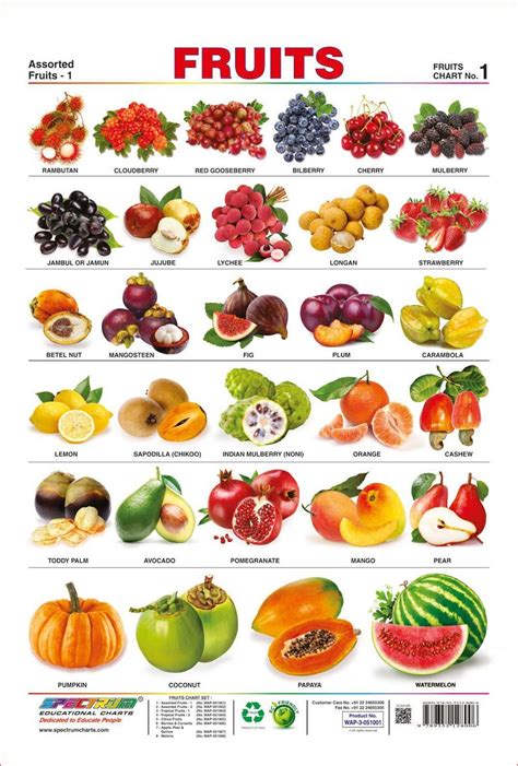 Fruits And Vegetables Names A To Z Fruits Names With Pictures For