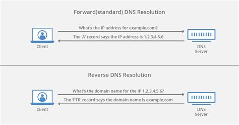 Difference Between Forward And Reverse Lookup Dns Query Imfile