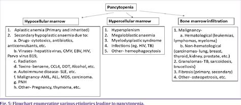 Diagnostic Approach Of New Onset Pancytopenia Study From A Tertiary