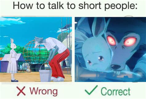 Talk To Short People 16 Tips For Talking To Short People That You