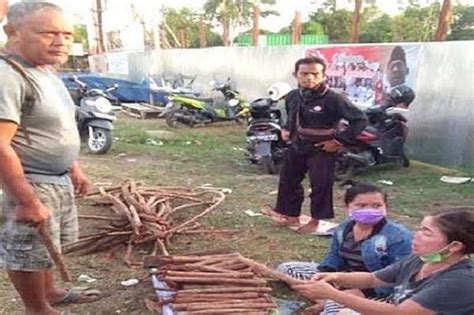 Fenomena Jual Beli Kayu Bajakah Di Kalimantan Distributor Akar