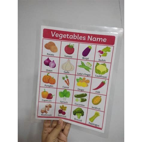 Educational Charts And Kids Learning Materials A4 Size Laminated