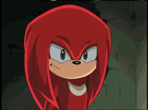Knuckles The Echidna Power Packed Punch 