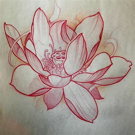 Princess Drawings Japanese Flower Tattoo Lotus Art Lotus Flower Drawing
