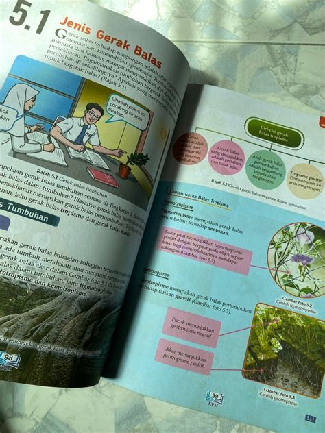 Buku Teks Biologi Tingkatan Kssm Spm Hobbies Toys Books