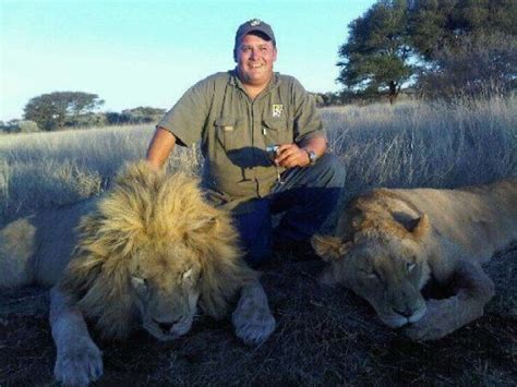 Lioness Hunting South Africa Budget Hunt Sa