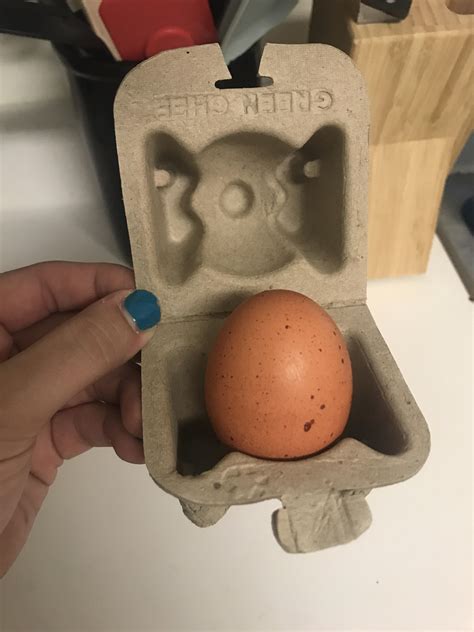 This Single Egg Carton Rmildlyinteresting