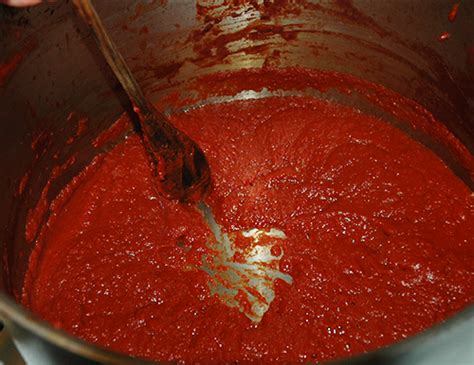 Before looking at some of the substitutes for tomato paste, let me first show you how to make tomato paste from tomato sauce. Tomato Paste | The Cooking Geek
