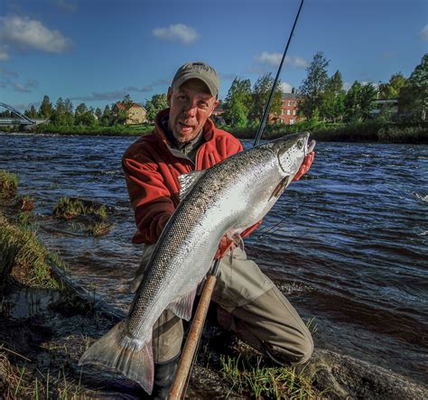 The Baltic Salmon Fund New Partnership Ahrex Hooks