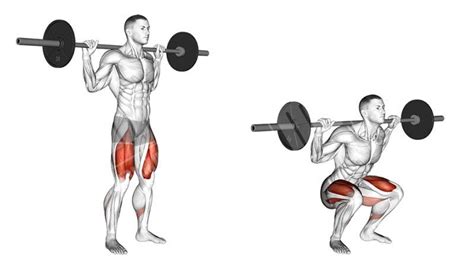 The Perfect Leg Workout To Build A Strong Foundation In 2020 Barbell