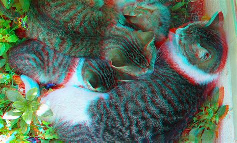You Need Redcyan Glasses Mother Catanaglyph 3d This Mot Flickr