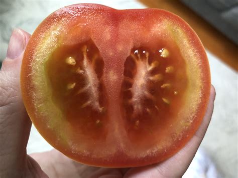 Tomato With Green In Skin