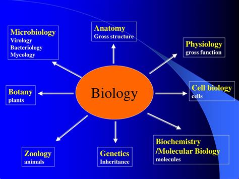 Ppt Bio 101 Biological Principles Powerpoint Presentation Free