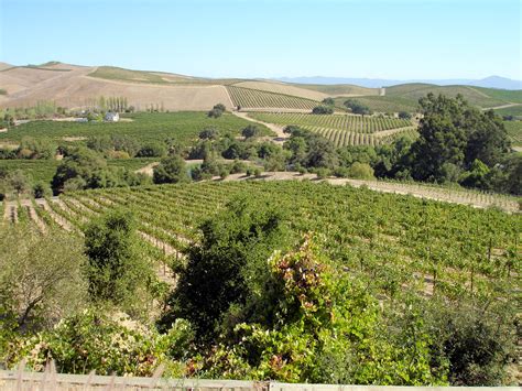 Dsc19944 Artesa Vineyards And Winery Sonoma Valley Califo Flickr