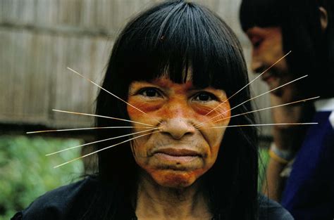 Brazils Tribes Survival International