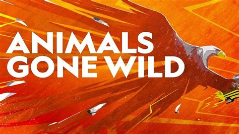 Watch Animals Gone Wild Streaming Online Yidio