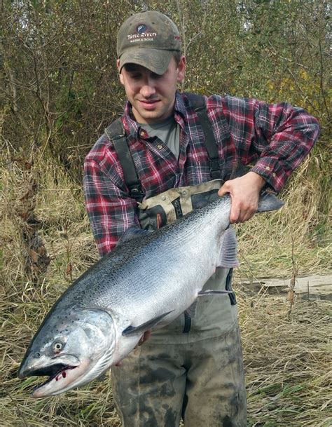 7 Deadly Techniques To Catch Chinook Salmon In Rivers