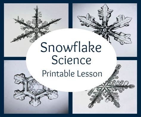Snowflake Science Printable Lesson Snowflakes Science Science