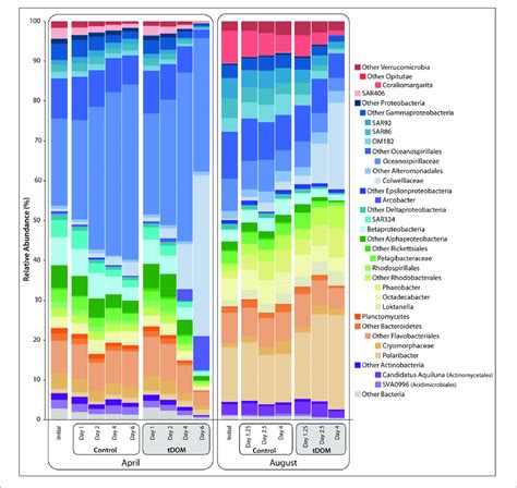 Bacterial Relative Abundance With Tdom Additions Stacked Bar Chart Download Scientific