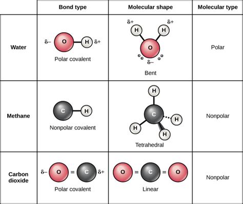 Covalent Bonds Biology For Non Majors I