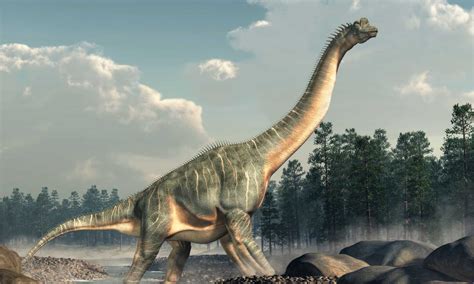 5 Types Of Gigantic Sauropod Dinosaurs Holyvip