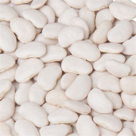 Large Lima Beans 4 Lbs Kitchen Kneads