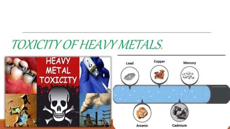 Toxicity Of Heavy Metals