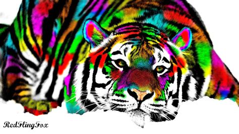 rainbow tiger by golenflyingfox on deviantart