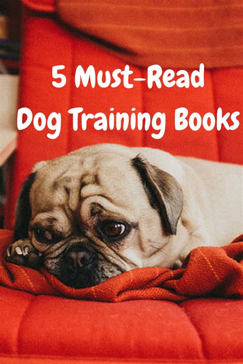 Check Out These Five Books If You Want To Become Better At Training