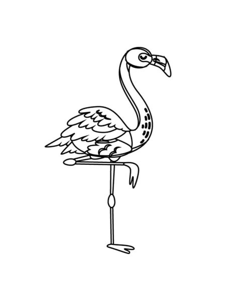 Casal Flamingos Para Colorir Imprimir E Desenhar Colorir Me
