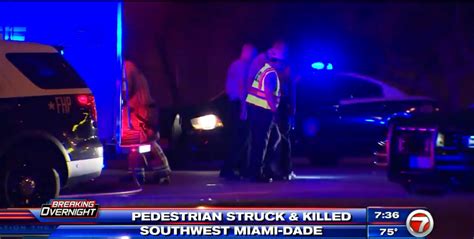 Woman Struck Killed In Sw Miami Dade Wsvn 7news Miami News Weather Sports Fort Lauderdale