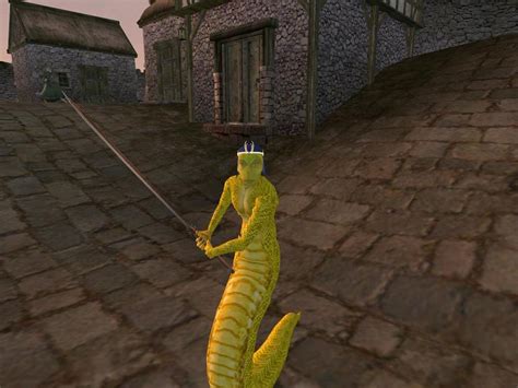 Til A Continent On Nirn Has A Race Of Snake People Called The Tsaesci