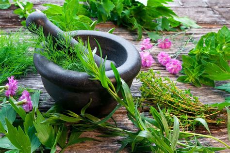 » Signature Type » Herbal & Medicinal Plants
