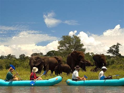 Zambia Safari Holidays 20202021 Steppes Travel