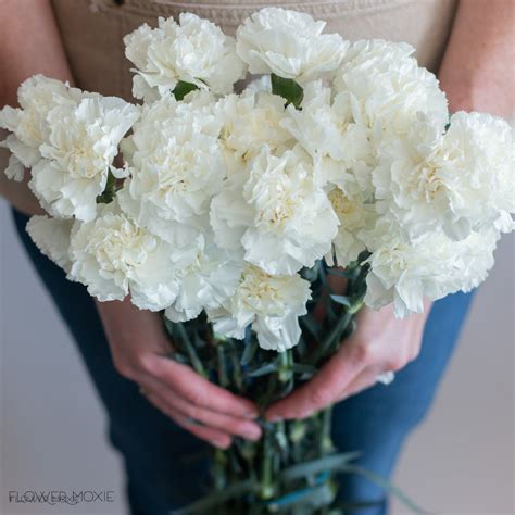 Carnations Bulk Fresh Wedding Flowers Online Flower Moxie