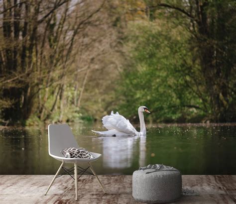 3d Forest Swan 246 Aj Wallpaper Wall Murals Mural