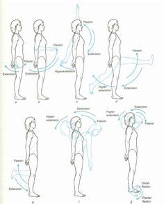 Motor control, at its simplest, is the ability to perform an action with precision and accuracy, along with a sensation of ease. advanced skull labeling free worksheets - Google Search | Human anatomy | Anatomy bones, Anatomy ...