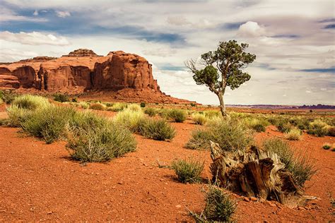High Desert Landscape Photograph By John Bartelt
