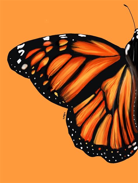 Digital Art Butterfly Butterfly Art Painting Diy Canvas Art Painting