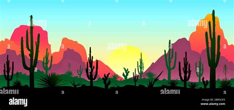 Sunset In The Desert Silhouettes Of Stones Cacti And Plants Desert