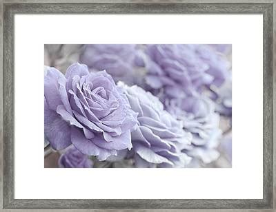 All The Lavender Roses Photograph By Jennie Marie Schell