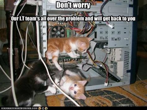 Lolcats Internet Page 5 Lol At Funny Cat Memes Funny Cat