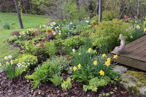 However, spring is considered the best period. Top 12 Plants To Grow With Hostas - gardenpicsandtips.com