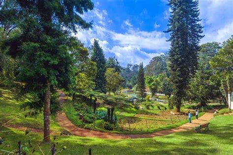 12 Best Things To Do In Coonoor With Photos On Your Trip In 2023