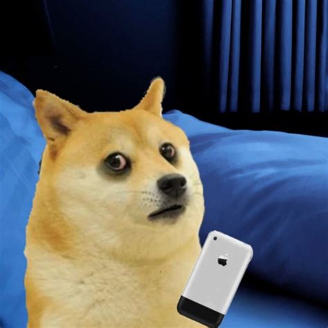 Le Sleep Deprived Has Arrived Rdogelore Ironic Doge Memes Know